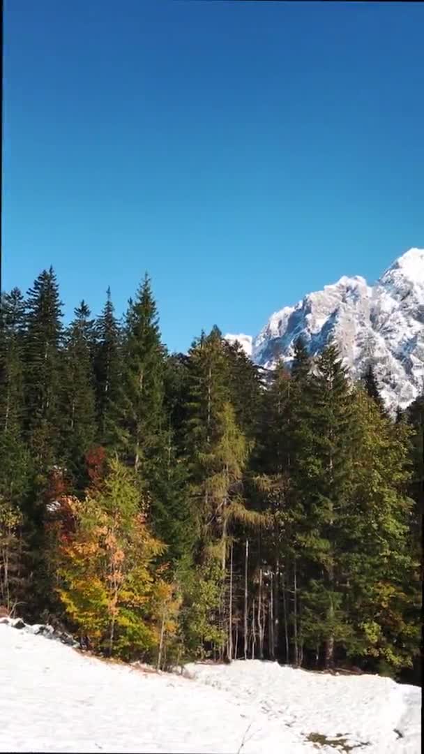 Vista Panoramica Del Paesaggio Invernale Con Montagne Innevate Pineta Nelle — Video Stock