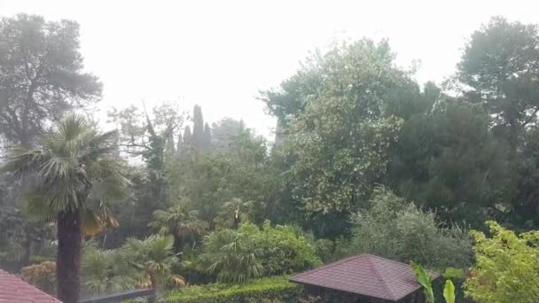 Vista Panorámica Una Fuerte Lluvia Tropical Tormenta Día Primavera Sobre — Vídeos de Stock