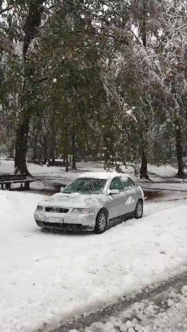 Bohinj Slovenya 2020 Audi Arabasının Üzerindeki Kar Kışın Çam Ağaçlarının — Stok video