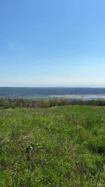 Slovenya kıyılarından ilkbaharda mavi gökyüzüne karşı zeytin ağaçları ve Adriyatik Denizi ile güzel yeşil tepelerin manzarası.