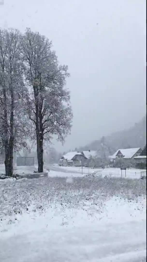 Szenische Ansicht Der Winterlandschaft Mit Schneebedeckten Bergen Und Kiefernwald Den — Stockvideo