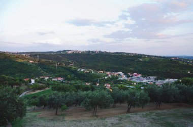 Slovenya kıyılarından gün batımına karşı zeytin ağaçları ve Adriyatik Denizi ile güzel yeşil tepelerin manzarası. Portoroz, Slovenya.