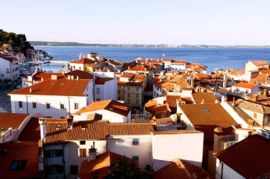 Eski şehir Piran 'ın tarihi merkezinin kırmızı çatılarının manzarası. Gündoğumunda gökyüzüne ve mavi Adriyatik denizine karşı ana kilise. Hava manzaralı, Slovenya kıyısı. 