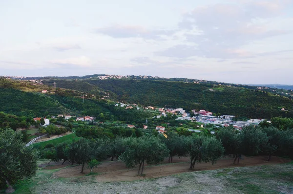 Malerischer Blick Auf Schöne Grüne Hügel Mit Olivenbäumen Und Adria — Stockfoto