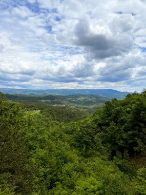 Slovenya kıyılarından ilkbaharda mavi bulutlu gökyüzüne karşı yeşil ormanlı güzel yeşil tepelerin manzarası.