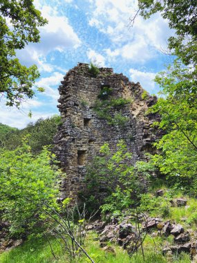 Slovenya kıyılarından ilkbaharda mavi bulutlu gökyüzüne karşı yeşil ormanlı güzel yeşil tepelerin manzarası.