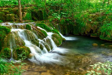 Plitvice Hırvatistan şelaleler