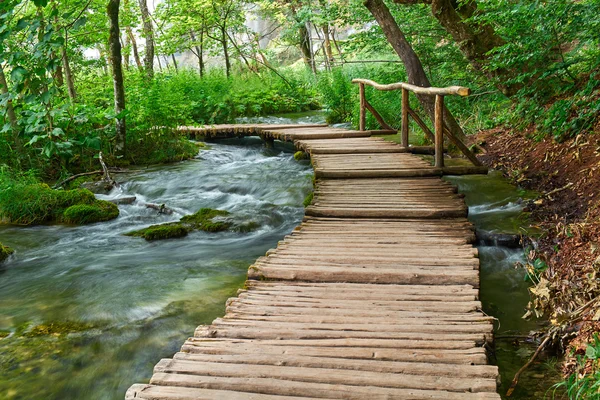 Sendero de madera en Plitvice, Croacia — Foto de Stock