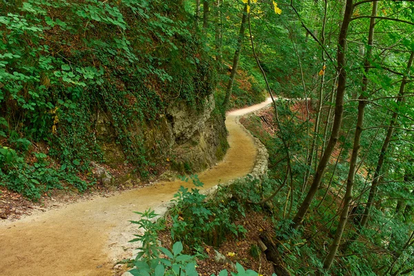 Forest Trail en Plitvice, Croacia — Foto de Stock