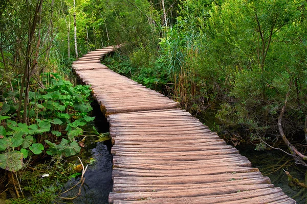 Sendero de madera en Plitvice, Croacia — Foto de Stock