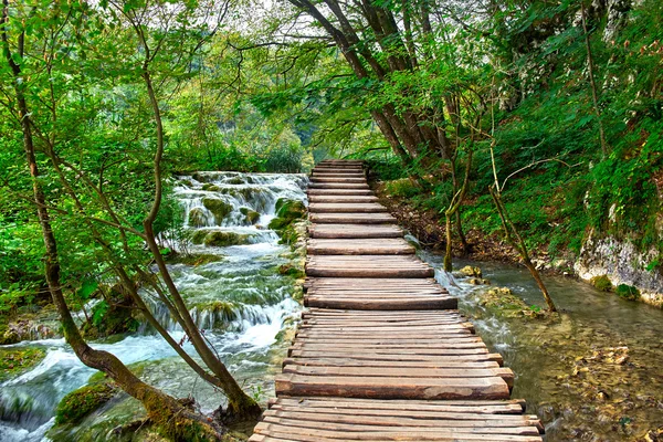 Plitvice, Croacia Camino Forestal — Foto de Stock