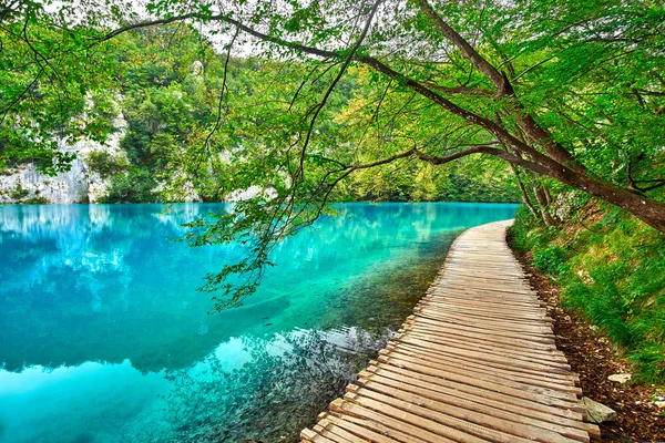 Plitvice Lake Kroatien — Stockfoto