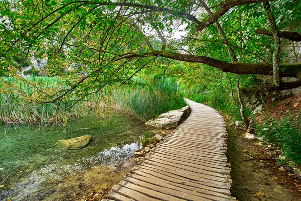 Sendero de madera en Plitvice, Croacia — Foto de Stock