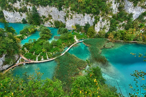 PLITVICE, CROATIE - 29 JUILLET : Les touristes aiment visiter les lacs et les magnifiques paysages du parc naturel de Plitvice en Croatie pendant les vacances d'été, le 29 juillet 2016 à Plitvice, Croatie — Photo