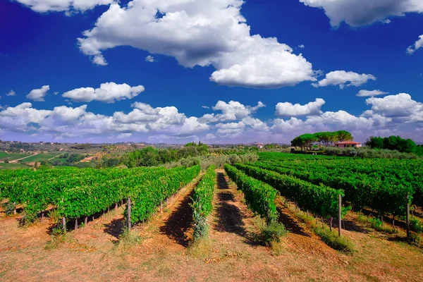 Tuscany  Wine Farm House — Stock Photo, Image