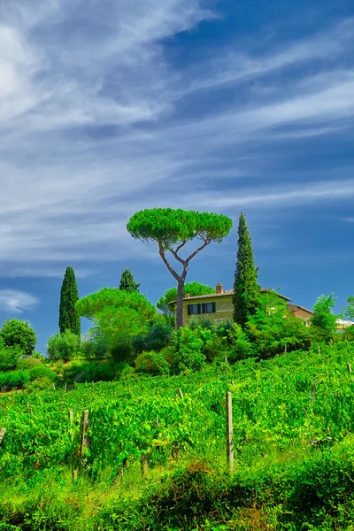 Tuscany  Wine Farm House — Stock Photo, Image