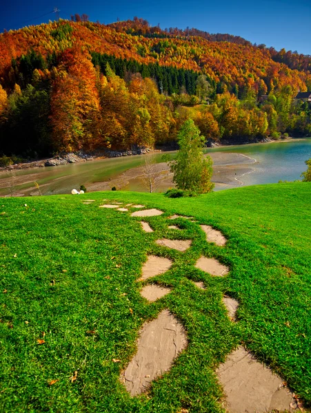 Otoño bosque paisaje — Foto de Stock