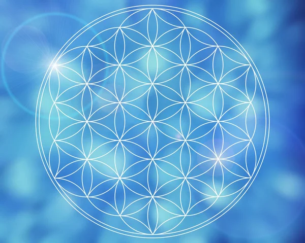 soyut yaşam çiçeği mandala arka planı