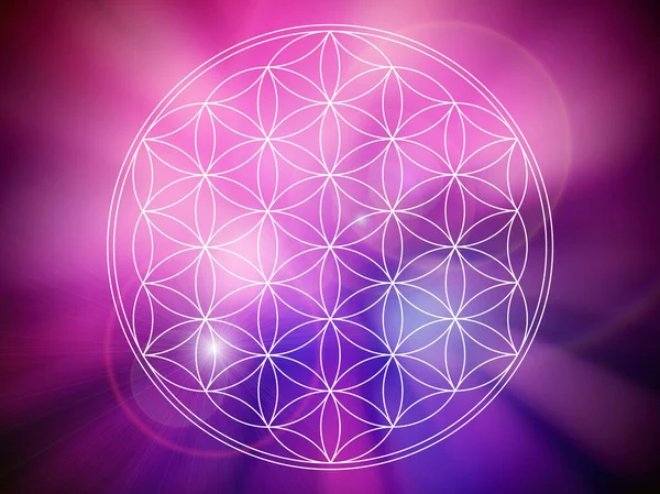 soyut yaşam çiçeği mandala arka planı