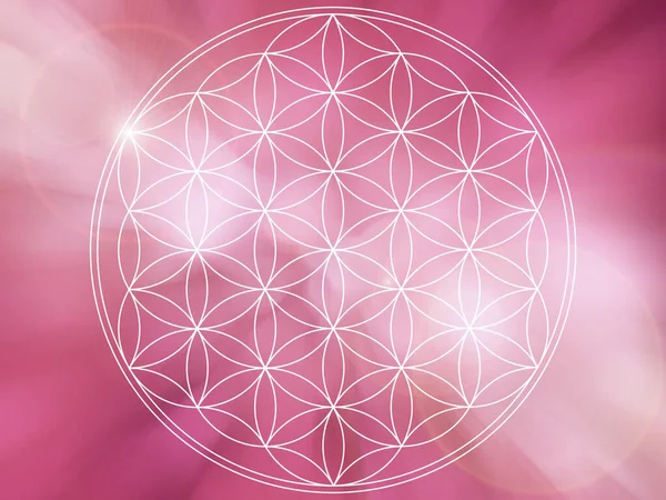 soyut yaşam çiçeği mandala arka planı