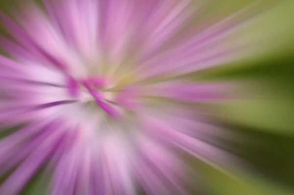 Abstrakte Bunte Bewegung Verschwommener Hintergrund — Stockfoto