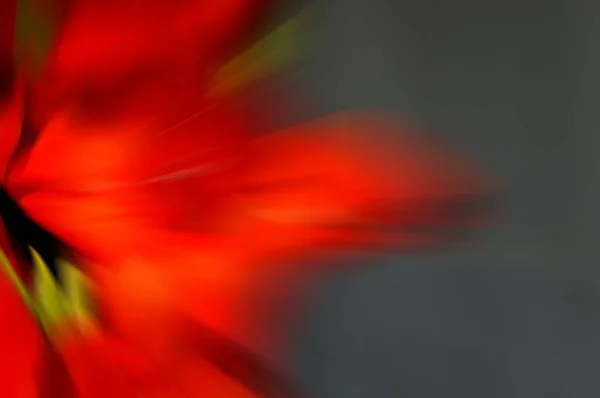 Soyut renkli hareket bulanık arkaplan