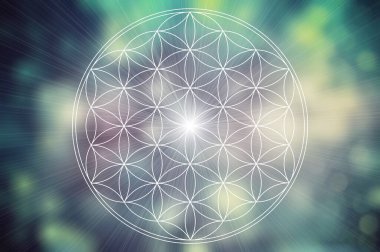 soyut yaşam çiçeği mandala arka planı