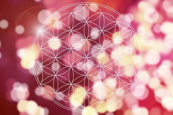 soyut yaşam çiçeği mandala arka planı