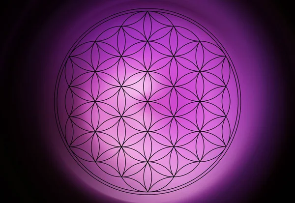 soyut yaşam çiçeği mandala arka planı