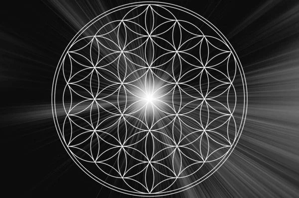 soyut yaşam çiçeği mandala arka planı