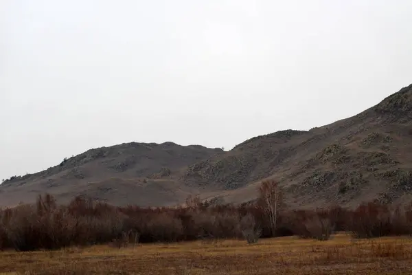 Rocky Mountains Herfstzicht Bewolkte Koude Dag Gele Gras Struiken Landschap — Stockfoto