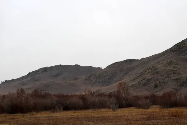 Rocky Mountains Осенний Вид Пасмурный Холодный День Желтая Трава Кустарники — стоковое фото