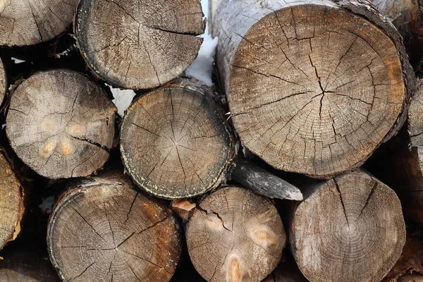 木柴堆背景 松木开裂的木质部质感 — 图库照片