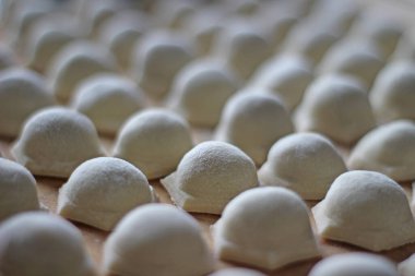 Geleneksel Rus mutfağında doğranmış etli börek. Yakın çekim yiyecek tahtanın üzerinde un ile diz çökecek. 