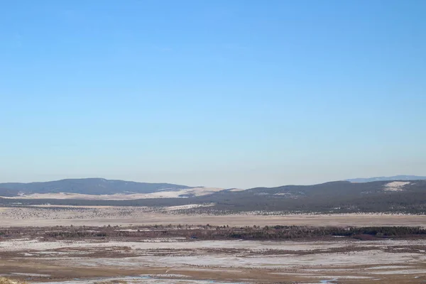 Zimowe Ośnieżone Góry Pokryte Sosnowym Lasem Żółta Łąka Trawiasta Śniegiem — Zdjęcie stockowe