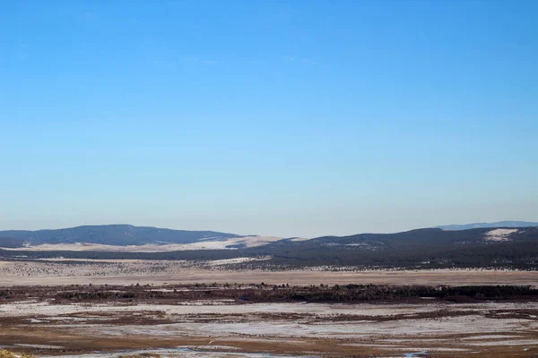 冬の雪に覆われた山の松の木の森 雪と黄色の草の牧草地 澄んだ青空背景 — ストック写真