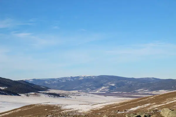Inverno Montagne Innevate Ricoperte Pineta Prato Erba Gialla Con Neve — Foto Stock