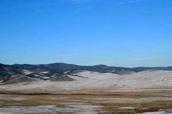 Karla kaplı dağlar çam ağacı ormanlarıyla kaplı, sarı çayırlar karla kaplı, açık mavi arkaplan 