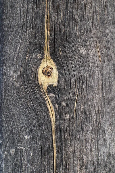 Παλιά Υφή Ξύλου Υπόβαθρο Ξεπερασμένο Γκρι Κόμπο Σανίδα Μοτίβο Και — Φωτογραφία Αρχείου