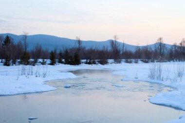 Kış buzsuz nehir kaplıcaları ve nehir kenarları ormanlarla çevrili beyaz karla kaplı. Ağaç Çalılarıyla Su Yüzeyi Dallarda Yansıma Witih Frost