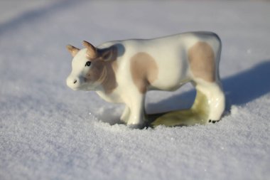 Ay takviminde 2021 Yılının Küçük Boğa Heykeli Sembolü. Boynuzlu Beyaz Benekli İnek Kışın Beyaz Kar Üzerinde 