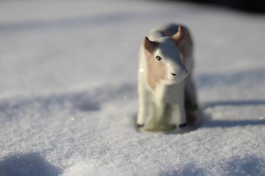 Ay takviminde 2021 Yılının Küçük Boğa Heykeli Sembolü. Boynuzlu Beyaz Benekli İnek Kışın Beyaz Kar Üzerinde 