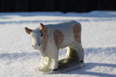 Ay takviminde 2021 Yılının Küçük Boğa Heykeli Sembolü. Boynuzlu Beyaz Benekli İnek Kışın Beyaz Kar Üzerinde 