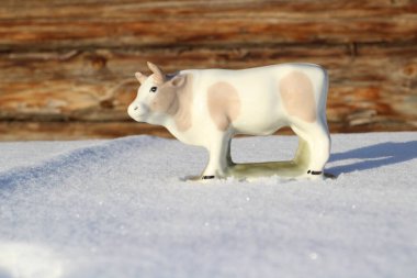 Ay takviminde 2021 Yılının Küçük Boğa Heykeli Sembolü. Boynuzlu Beyaz Benekli İnek Kışın Beyaz Kar Üzerinde 