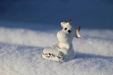 Ay takviminde 2021 Yılının Küçük Boğa Heykeli Sembolü. Beyaz Kabarık Kar Üzerinde Beyaz Boynuzlu İnek Zenginlik ve Sağlık Kutusu