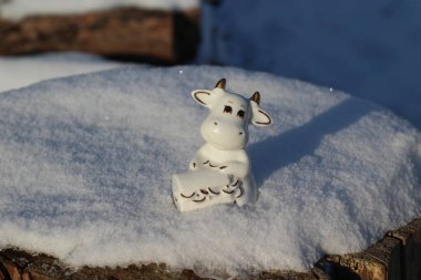 Ay takviminde 2021 Yılının Küçük Boğa Heykeli Sembolü. Beyaz Kabarık Kar Üzerinde Beyaz Boynuzlu İnek Zenginlik ve Sağlık Kutusu