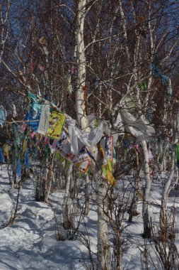 Kışın Birch Çıplak Ağaçlar Ormanında Budist Bayrakları