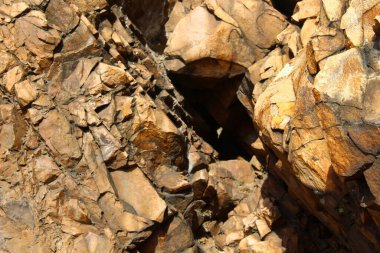 Yıpranmış Kayalar Arkaplanı ile Lichen Tam Çerçeve Uçurumu 