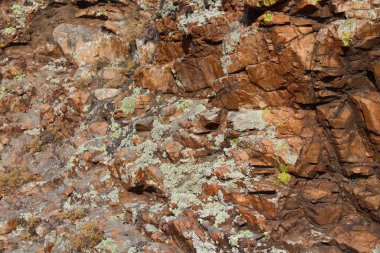 Yıpranmış Kayalar Arkaplanı ile Lichen Tam Çerçeve Uçurumu 