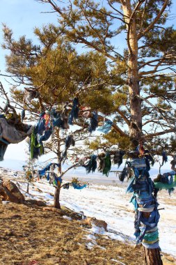 Karlı Kışın Dağ Tepesinde Dini Bayraklı Çam Ağacı